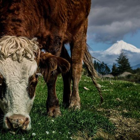 Country Retreat Glamping Hotel New Plymouth Luaran gambar